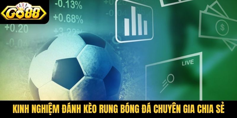 Kinh nghiệm đánh kèo rung bóng đá chuyên gia chia sẻ